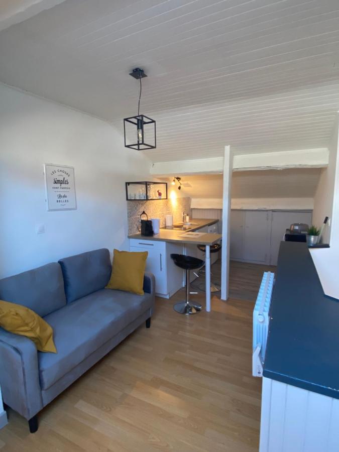Les Cosy De Nancy - Le Nid Douillet - 4* Apartment ภายนอก รูปภาพ